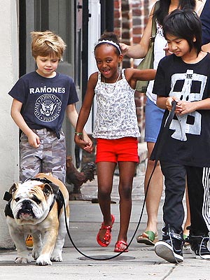 Jolie-Pitt Children Walk Their Bulldog in New Orleans | Maddox Jolie-Pitt Cover, Shiloh Jolie-Pitt, Zahara Jolie-Pitt