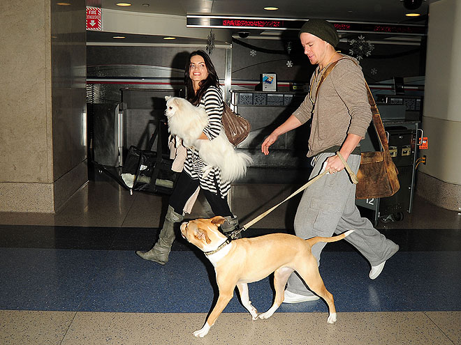 Channing Tatum's Little Sidekicks: Lulu & Meeka