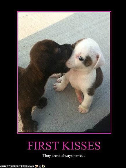 Puppies on a Mission ... to Be Cute!