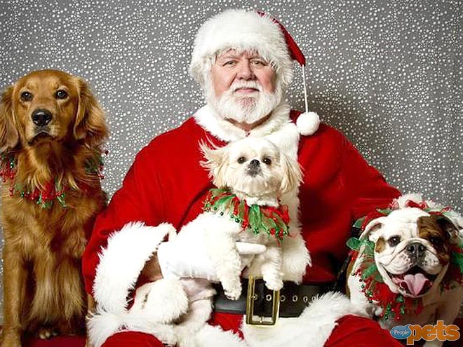 The Cutest Pets on Twitter This Week!