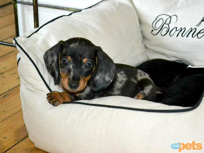 December's Cutest of the Cute!