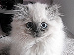 July's Cutest of the Cute!