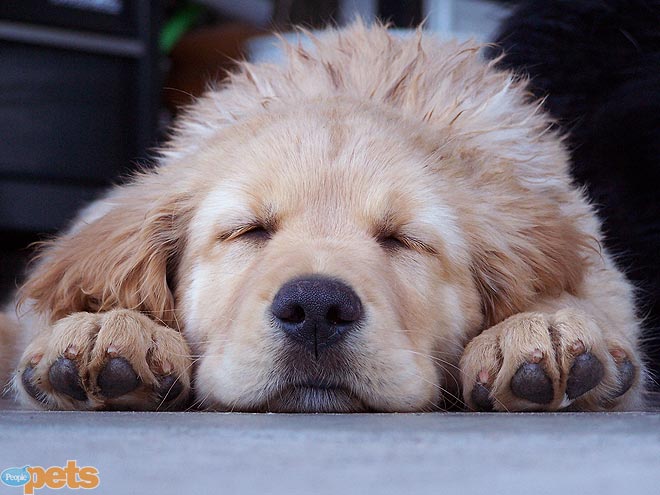 October's Cutest of the Cute!