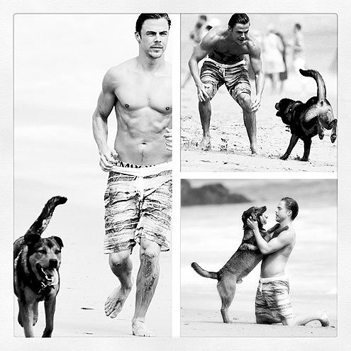 Dancing with the Stars – and Their Pets!