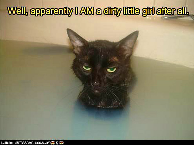 Cats Take Baths (Reluctantly)