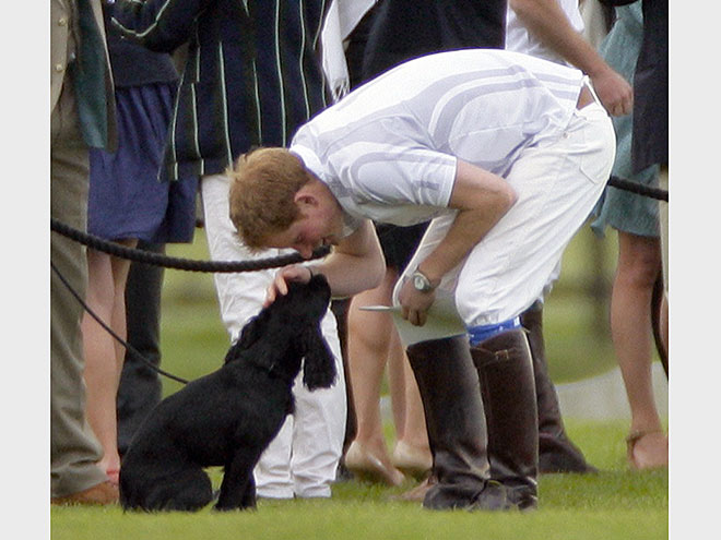 Will & Kate's Little One: Lupo!