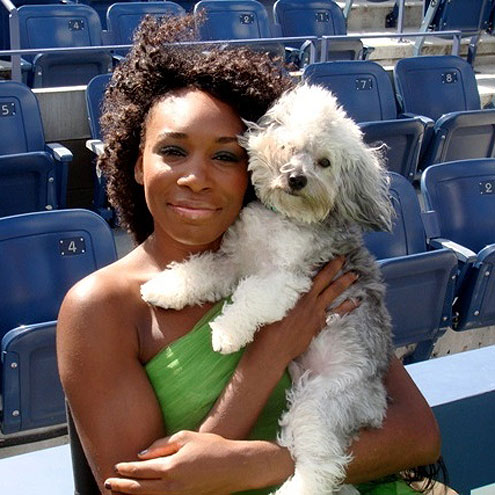 Olympians and Their Pets!