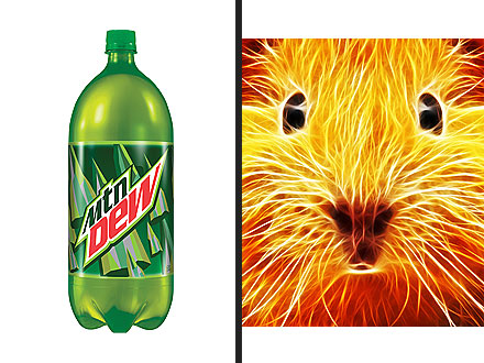 Mountain Dew Would Disintegrate a Mouse