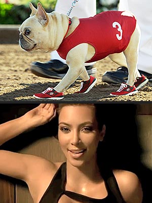 Kim Kardashian Replaced by Dog in Super Bowl Ad