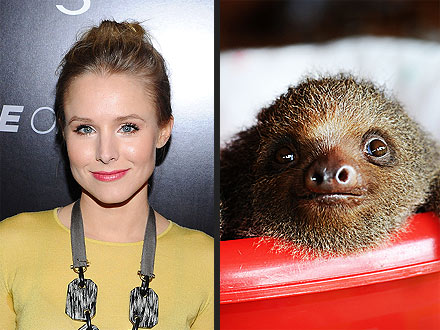 Kristen Bell: Adorable Sloth Videos