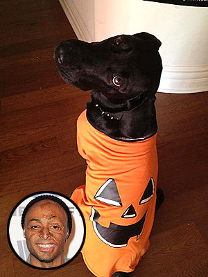 J.R. Martinez Gets His Dog Ready for Baby