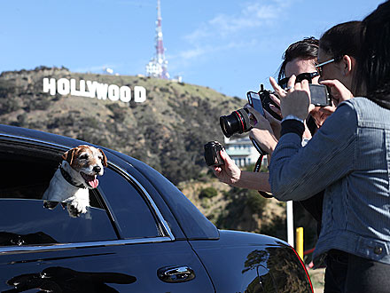 Uggie the Dog's Best Tricks: Video