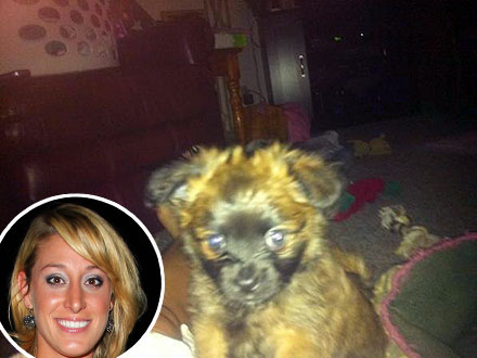 Vienna Girardi Gets a New Dog