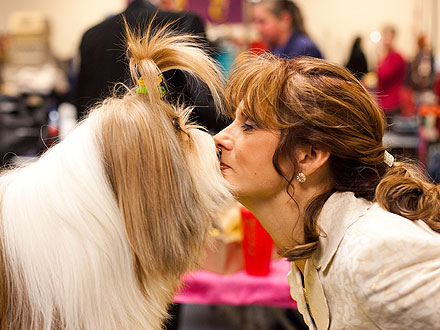 10 Wackiest Photos from Westminster