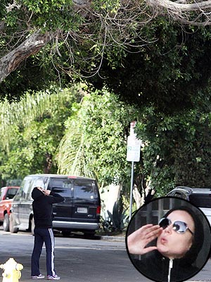 Abbie Cornish Uses Bird Calls to Get Her Parakeet Down from a Tree