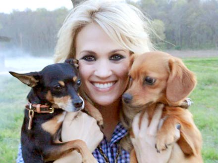 Carrie Underwood's Working Stiffs Her Dogs Carrie Underwood