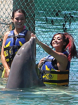 Pregnant Snooki Swims with Dolphins in Mexico