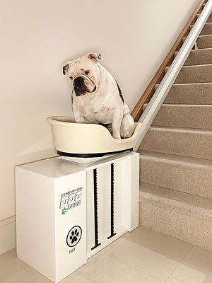 Would You Use a Stair Lift for Your Dog?