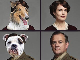 Downton Abbey Characters Get Reimagined as Dogs