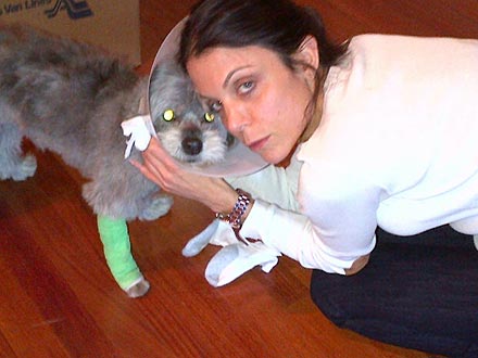 Update: Bethenny Frankel's Dog Sporting Cone After Hospital Stay