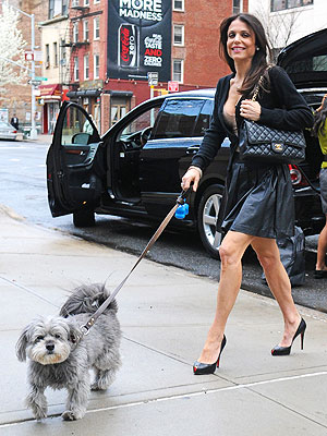 Bethenny Frankel Dog