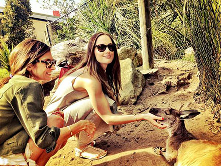 Minka Kelly Meets Kangaroo at Taronga Zoo: Photo