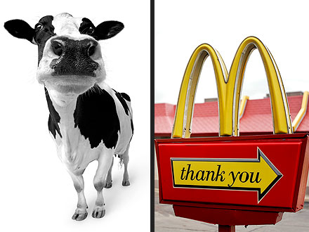 Dairy Cow Walks Up to McDonald's Drive-Thru