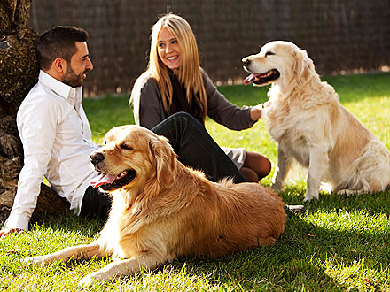 Social Networking Site Brings Together Dog Owners