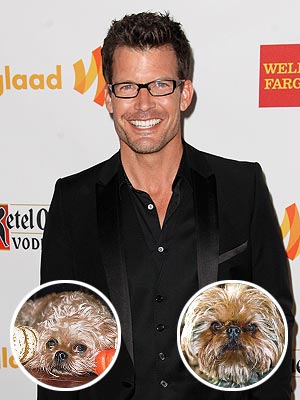 Mark Deklin's Little Dogs Have Big Personalities