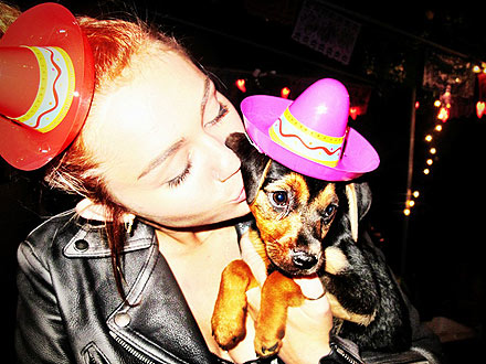 Miley Cyrus with Dog Happy: Photos