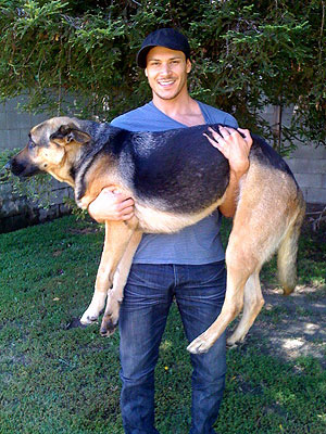 Twilight's Alex Meraz Adopts Dog
