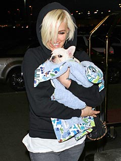 Ashlee Simpson Shows Off Her New Puppy! | Ashlee Simpson