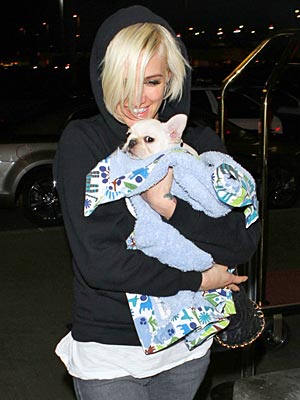 Ashlee Simpson: Bronx Loves the New Puppy