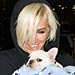 Ashlee Simpson Shows Off Her New Puppy!