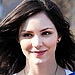 Katharine McPhee Never Thought Her Dogs Would Become Famous