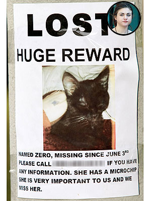 Frances Bean Cobain Has Lost Cat