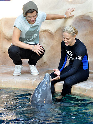 One Direction's Harry Styles Meets a Dolphin