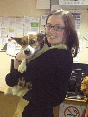 500 Tweets Help Reunite a Lost Dog with His Owner
