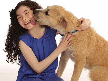 Shelter Dog Sunny Cast in Broadway Revival of Annie