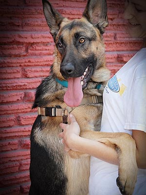 Adopt Me! Affectionate Connor Loves to Give Hugs
