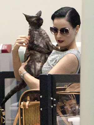 Dita Von Teese's Cat Travels in Louis Vuitton