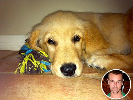 Joey Lawrence Gets His Daughters a Puppy