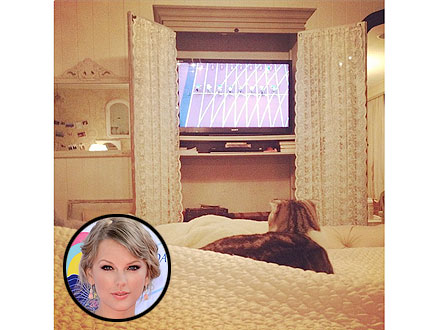 Taylor Swift's Cat Watches the Olympics | Taylor Swift