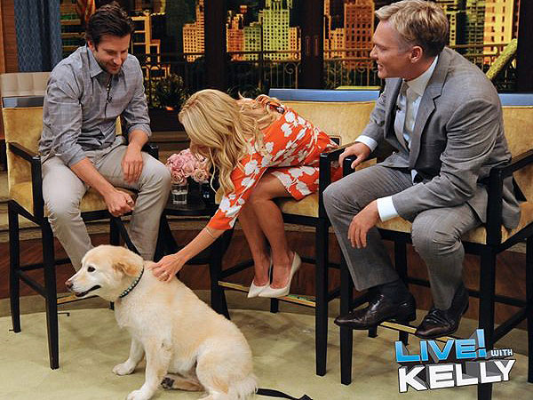 Bradley Cooper's Dog on Live With Kelly: Video