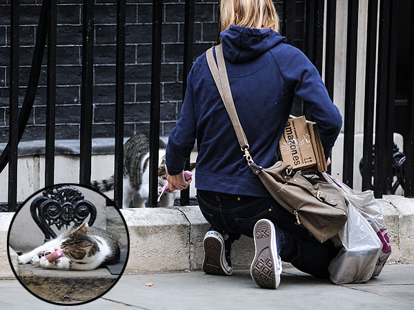 Larry the 10 Downing Street Cat Gets Toy from Stranger