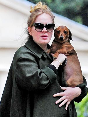 Pregnant Adele with Dog Louie in London: Photo : People.com