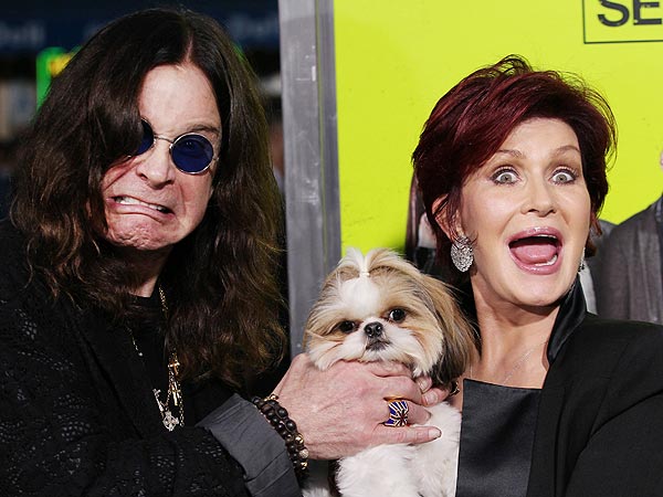 Seven Psychopaths Premiere Photos with Dog Bonny