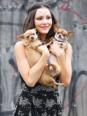 Katharine McPhee with Dogs on Smash Set: Photo