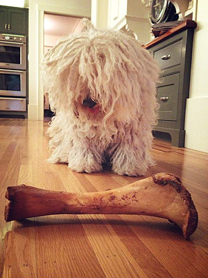 Beast Zuckerberg Gets a Big New Bone