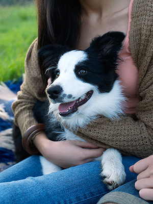 Study: A Quarter of Women Would Dump Partners for Pets